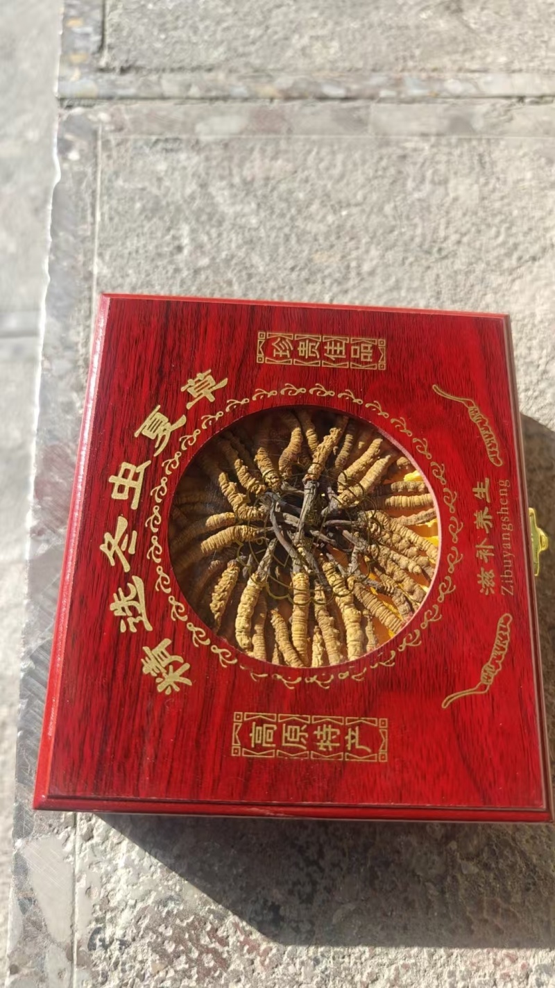 ***原产地虫草全国供应纯正品质