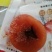 柿子饼