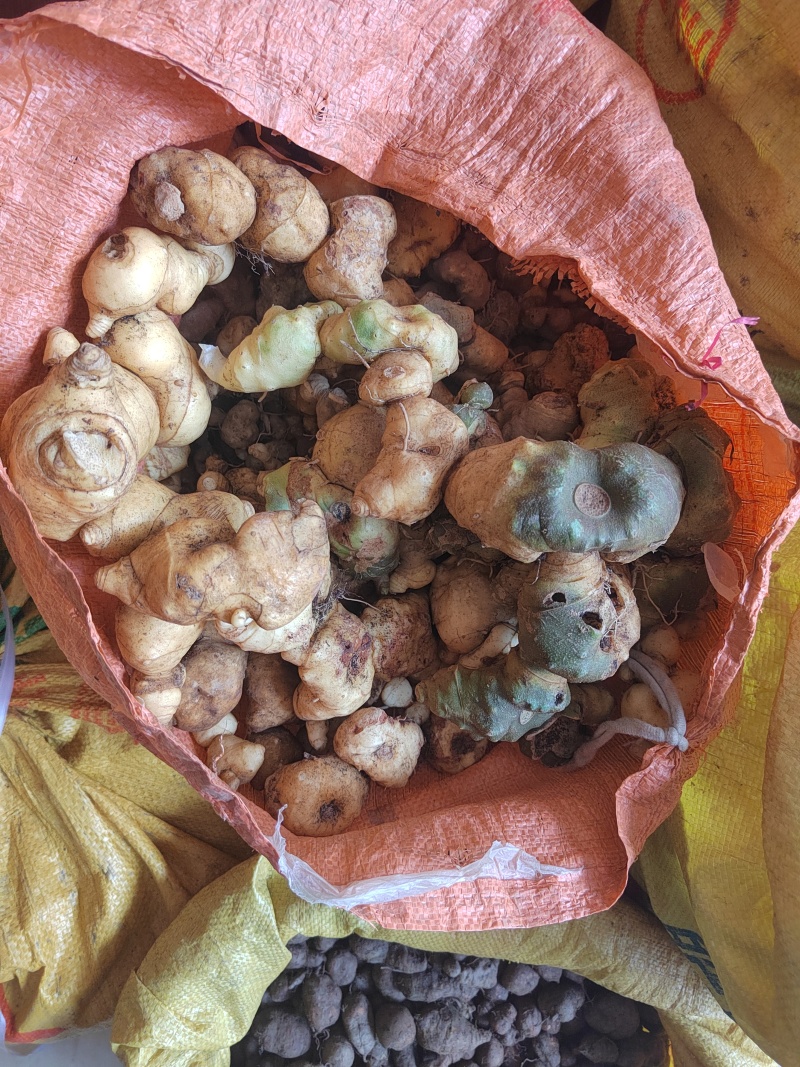 黄精