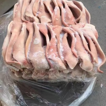 猪耳朵鲜品冻品都有一件起发欢迎各位老板合作