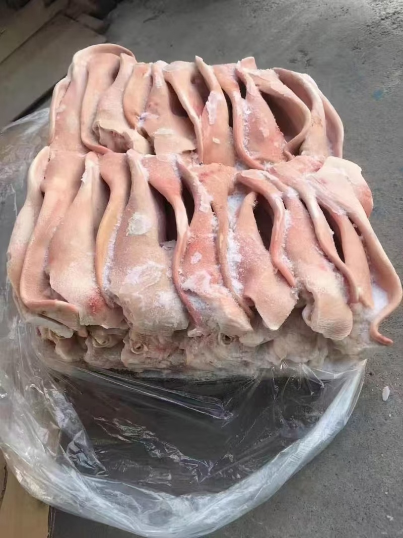 猪耳朵鲜品冻品都有一件起发欢迎各位老板合作