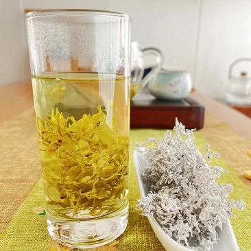 高山莓茶春茶芽头大量批发
