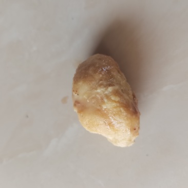 鹅宝