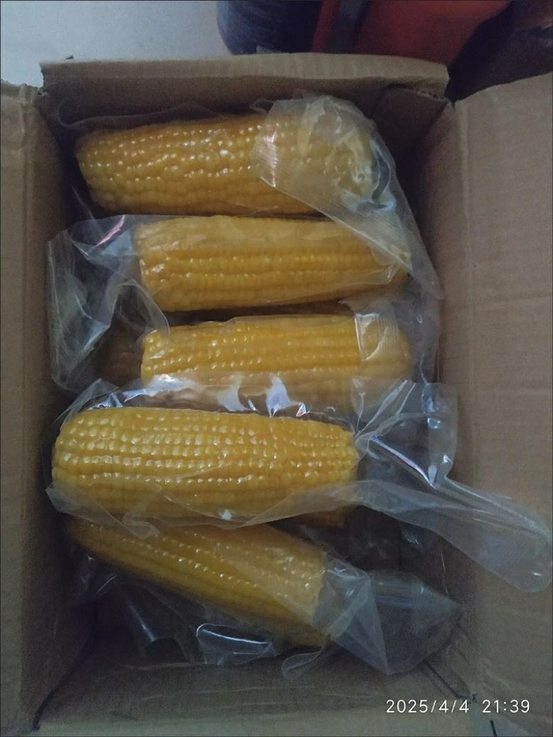 玉米大量现货电商用，一件代发