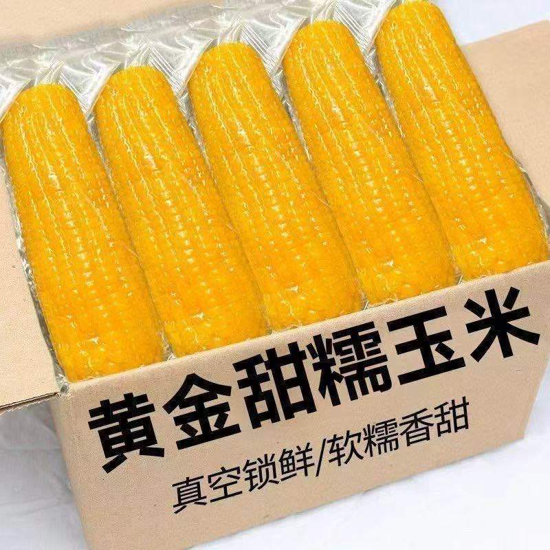 玉米大量现货电商用，一件代发