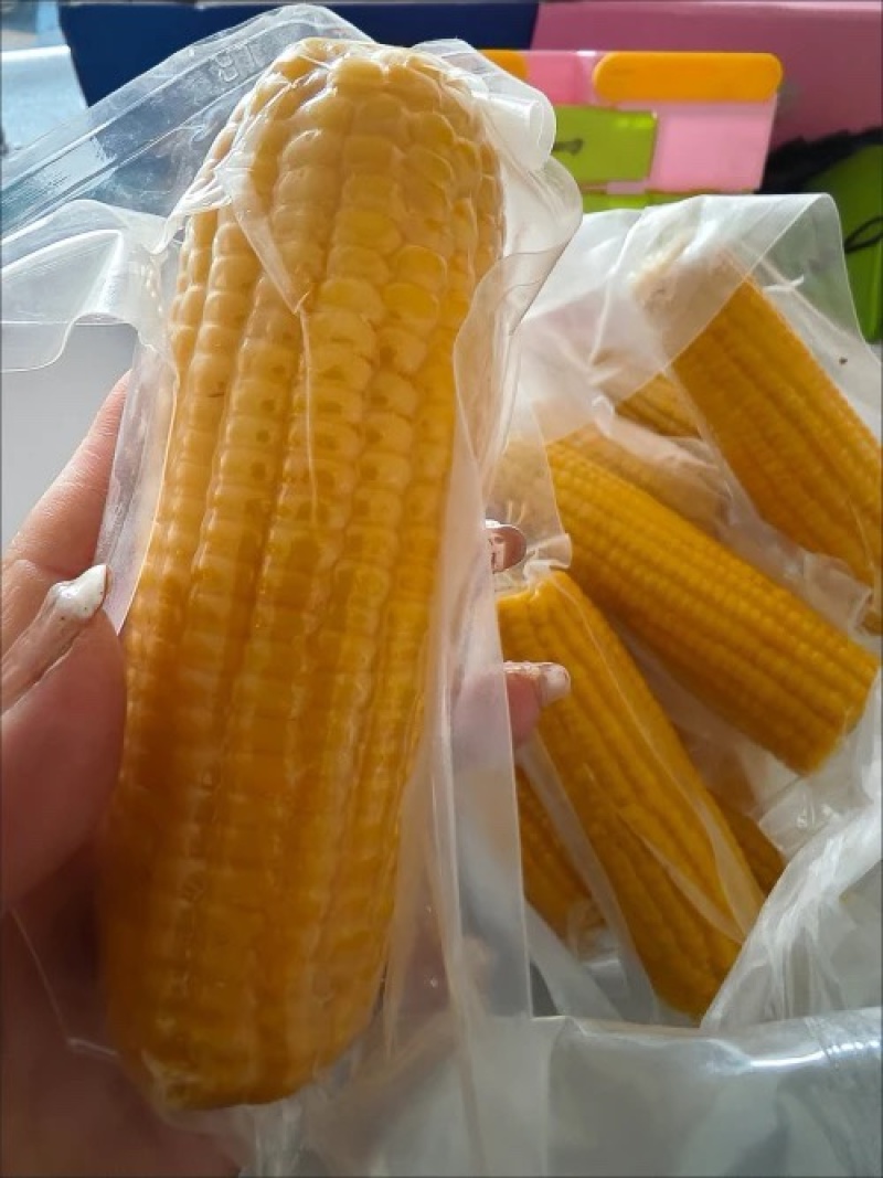 玉米大量现货电商用，一件代发