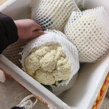 有机散花