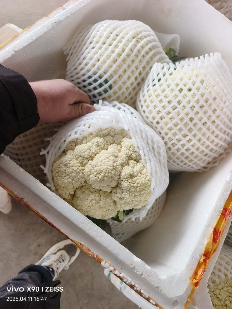 有机散花