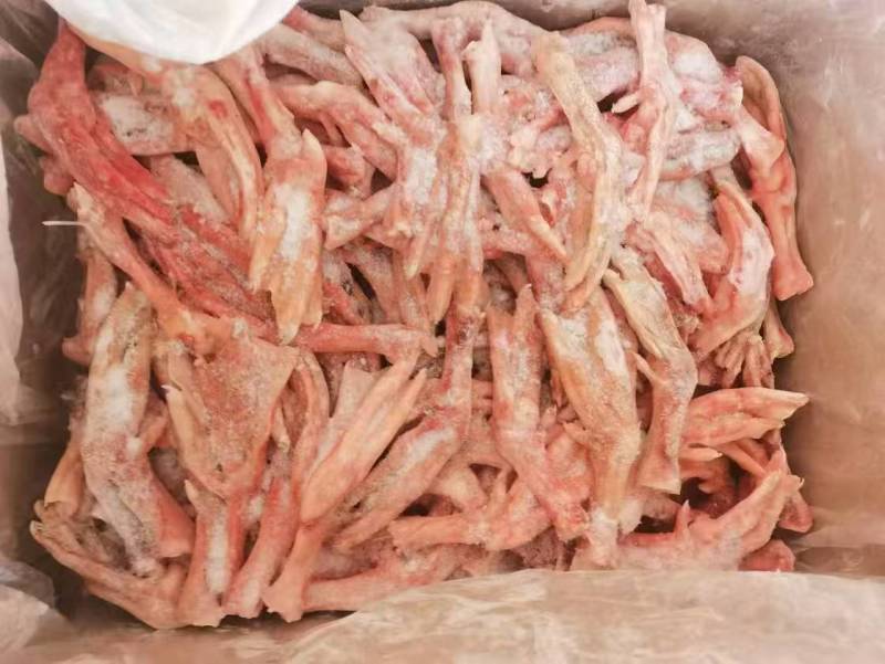 二级性价比超高的鹅掌