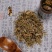 灯盏花纯新货云南灯盏细辛灯盏花灯盏草非野生中药