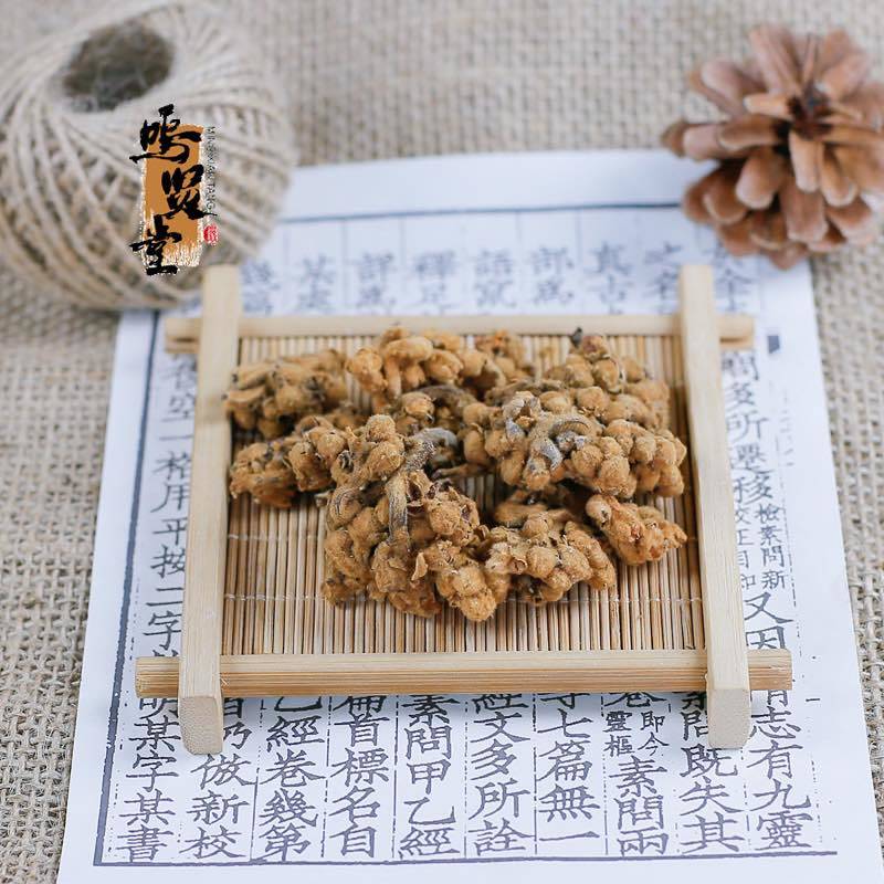 新花枇杷花茶特级散装天然白琵琶花蕾农家自晒优质枇杷花