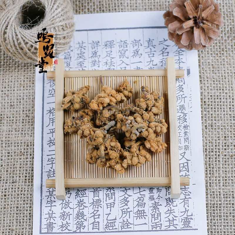 新花枇杷花茶特级散装天然白琵琶花蕾农家自晒优质枇杷花