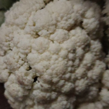 菜花