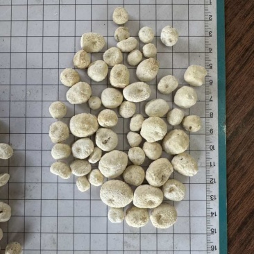 半夏种子河北安国产地直发
