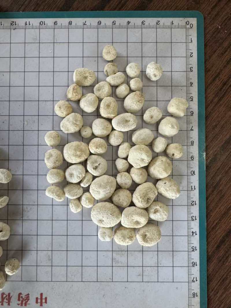 半夏种子河北安国产地直发
