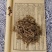 广西瑶药金耳环野生中药材南土细辛中草药