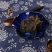 儿茶包邮野生正品中药材店铺可磨***孩儿茶儿茶粉