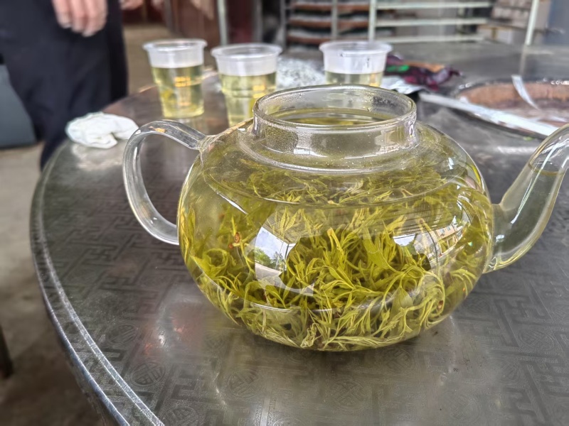 永顺高山藤茶