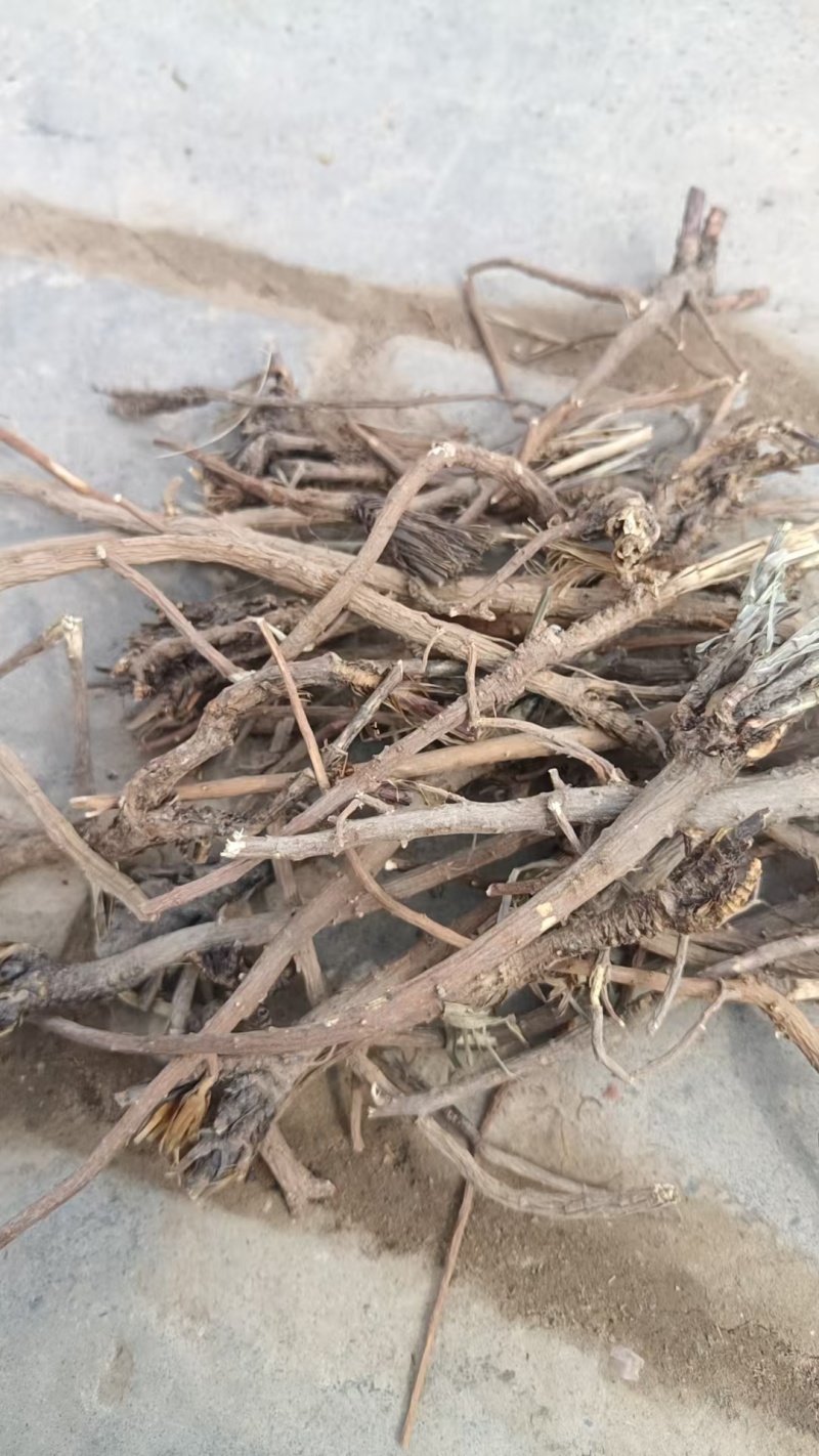 ***自产自销***柴胡随时可聊品质之选
