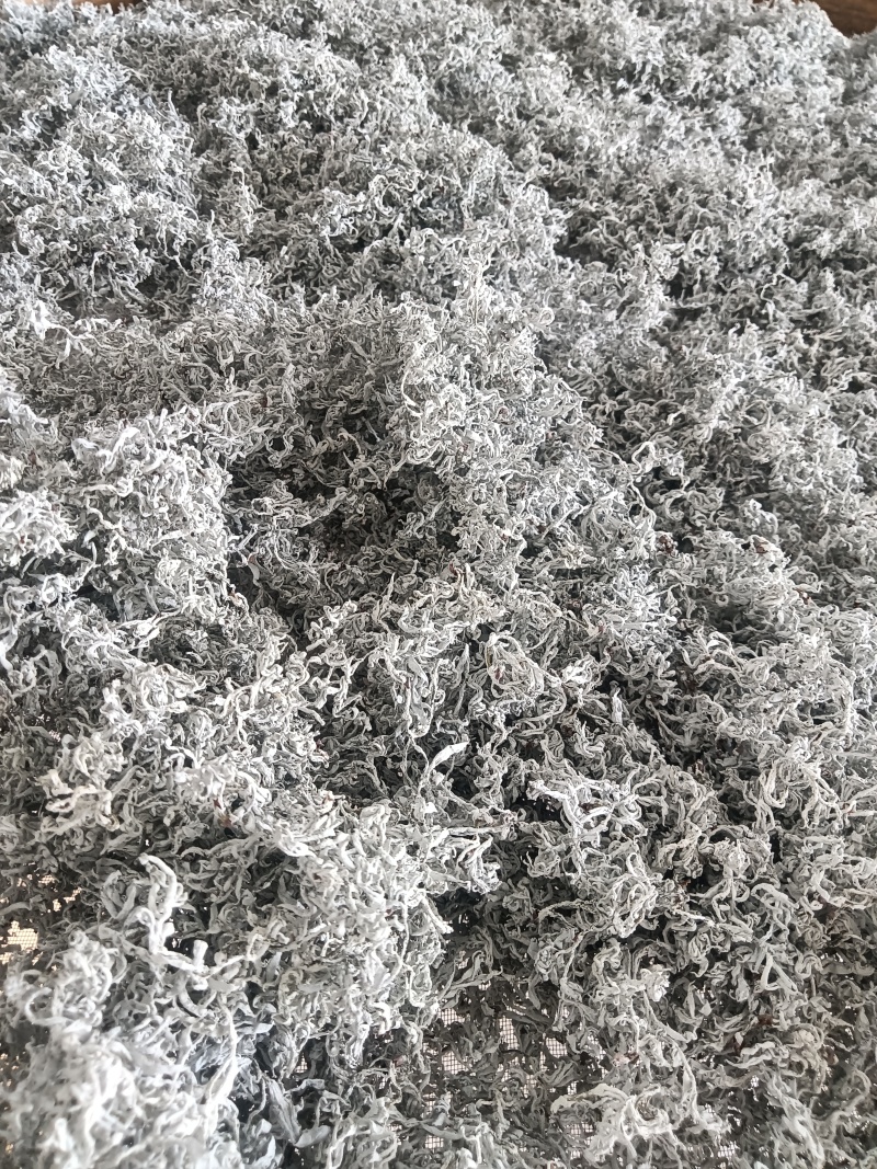 永顺莓茶