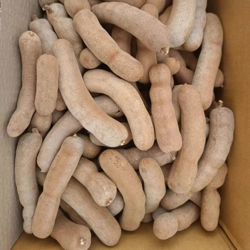批发价酸甜角一整箱云南甜酸角大果电商直供量大从优酸角20斤装