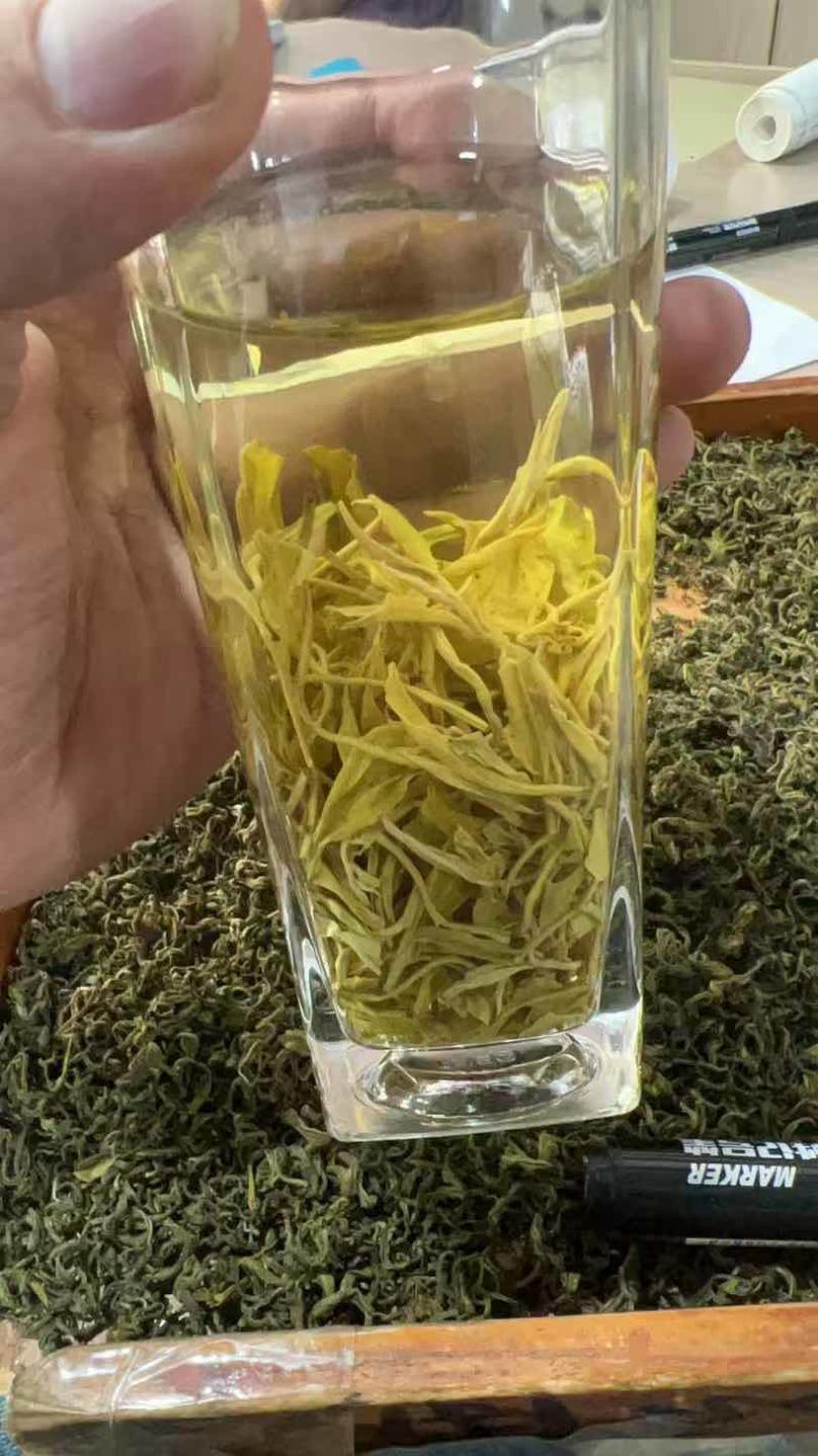 收工黄金芽