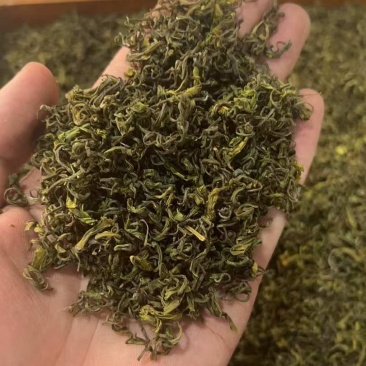 收工黄金芽