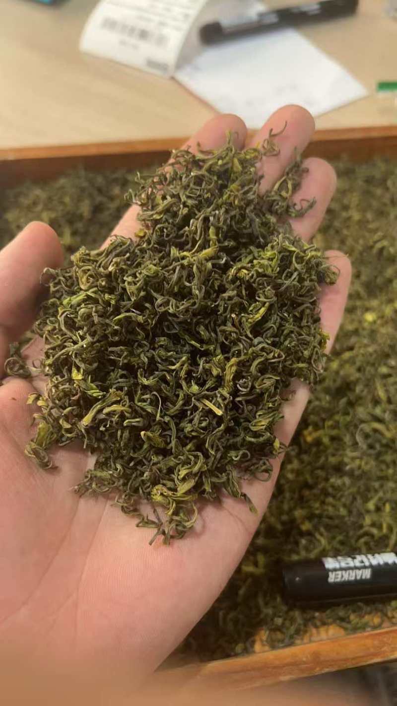 收工黄金芽