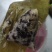 粽子，100克70克