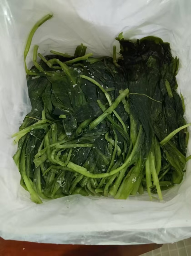 寒葱
