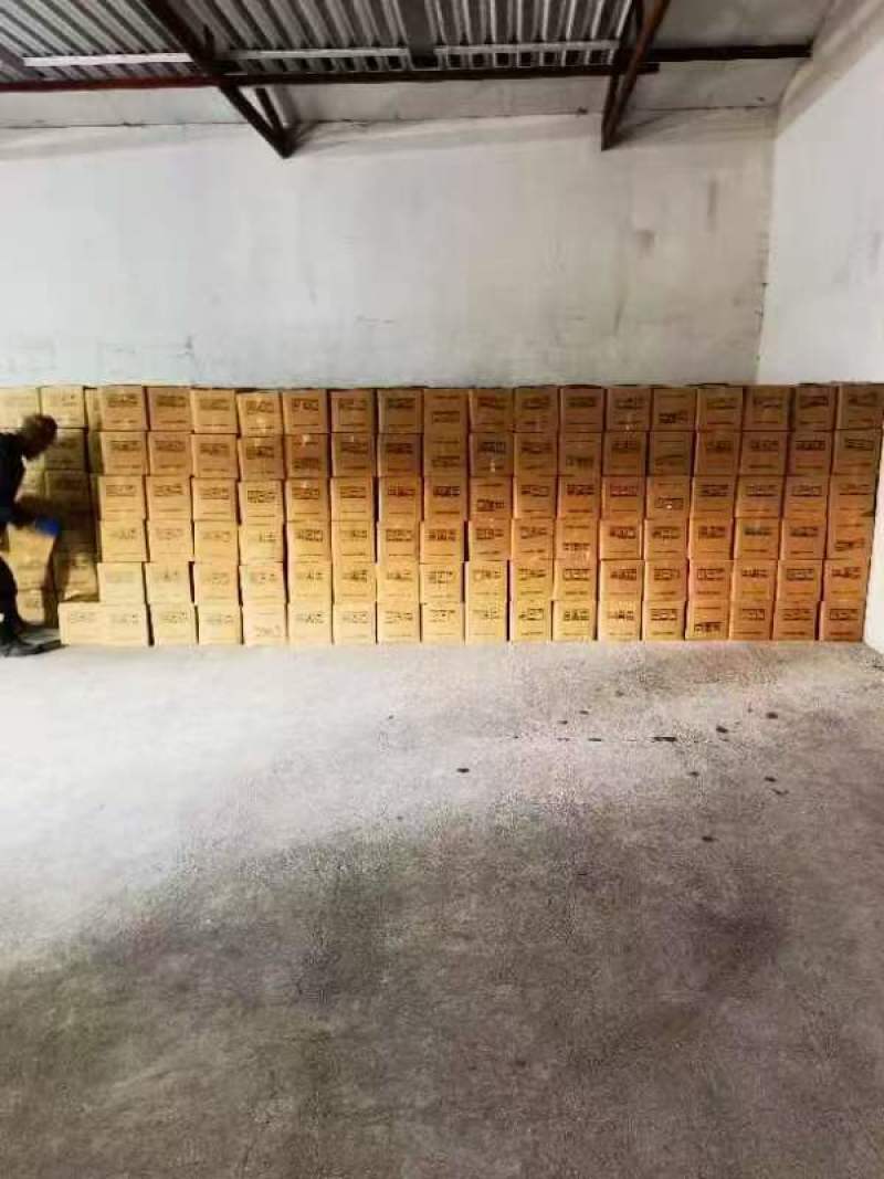 寒葱
