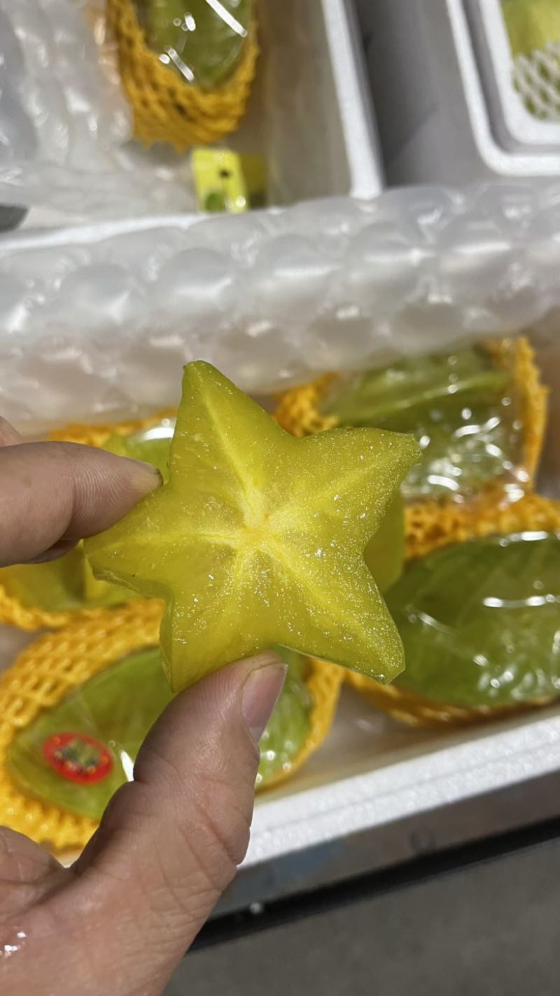 树熟杨桃