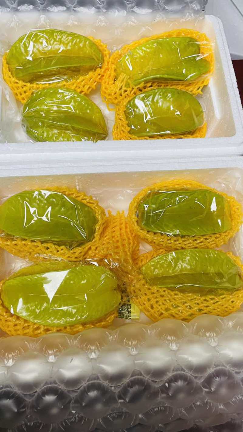 树熟杨桃