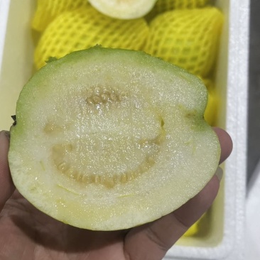 树熟芭乐