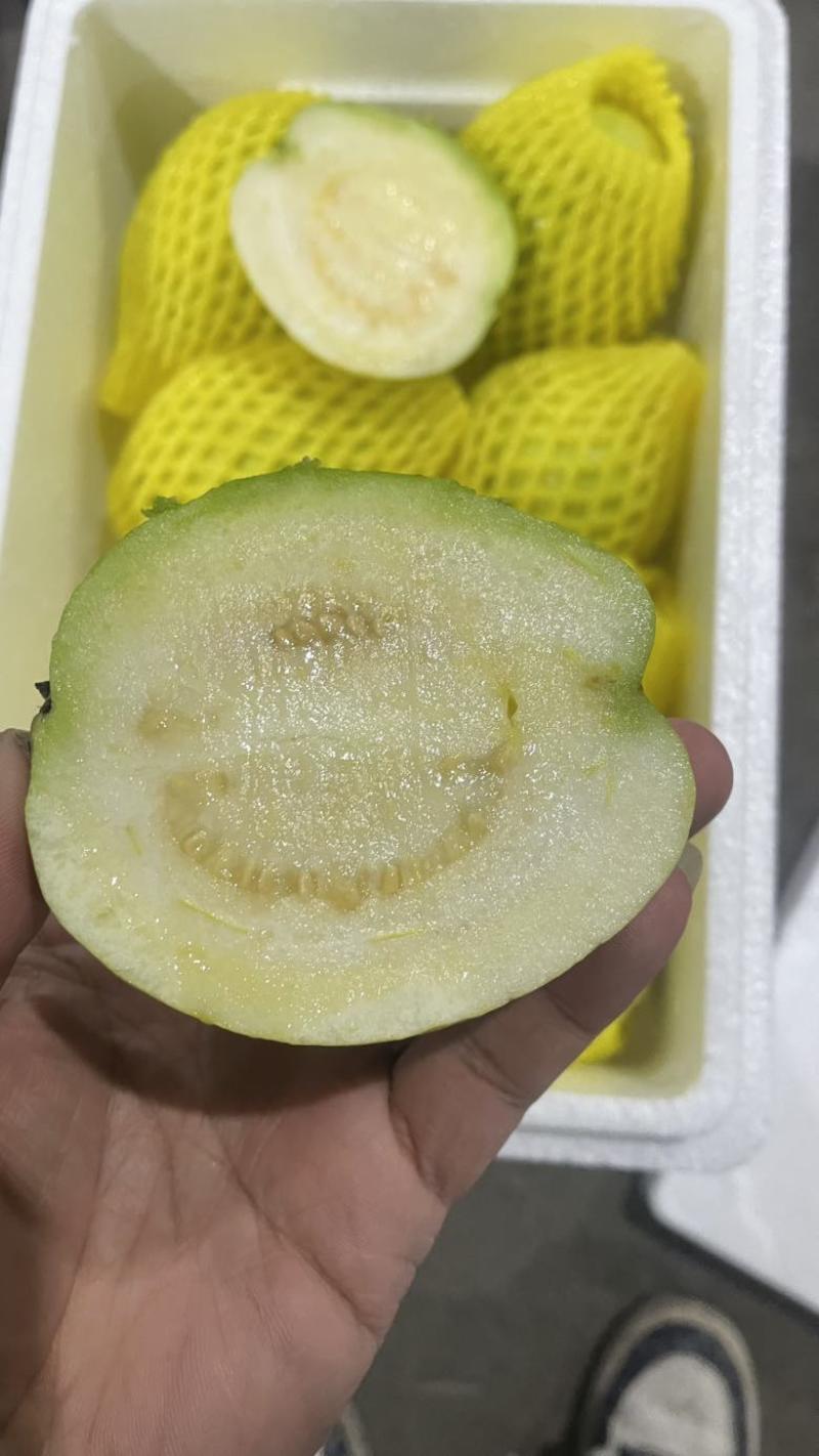 树熟芭乐