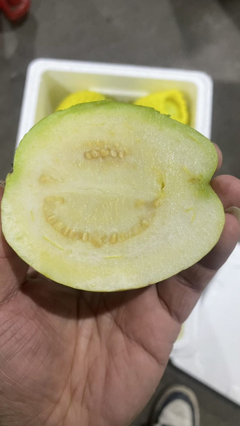 树熟芭乐
