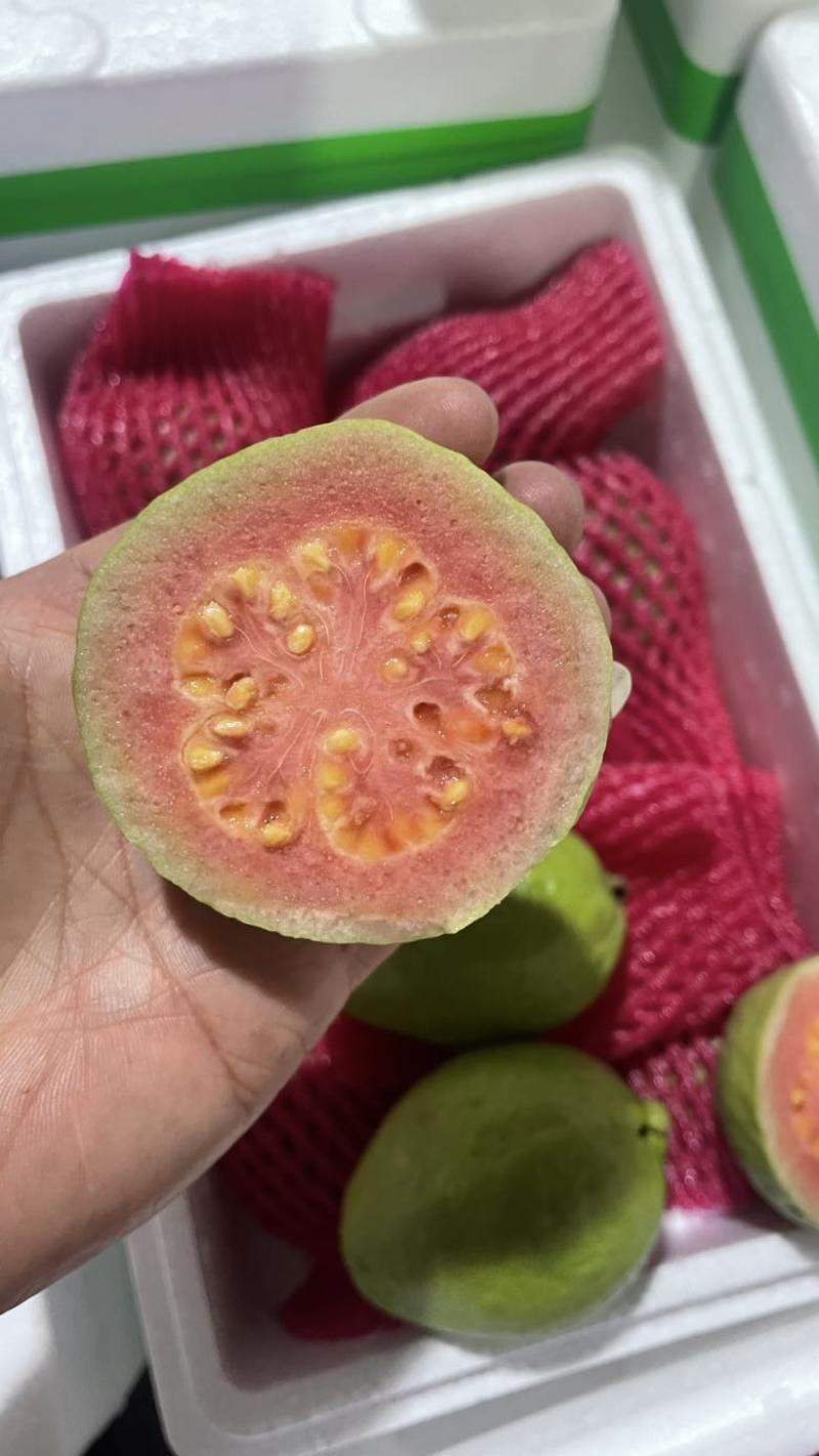 树熟芭乐
