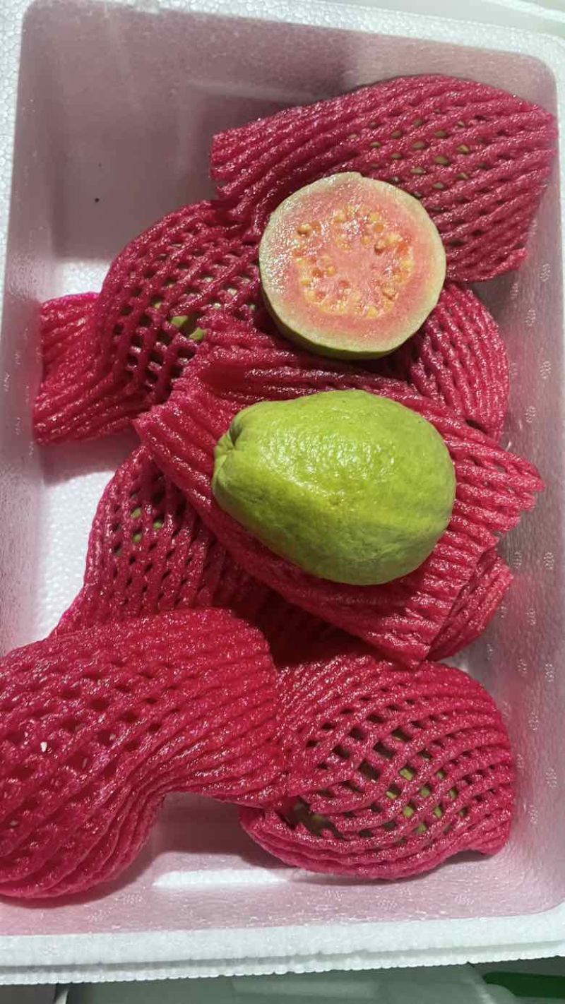 树熟芭乐