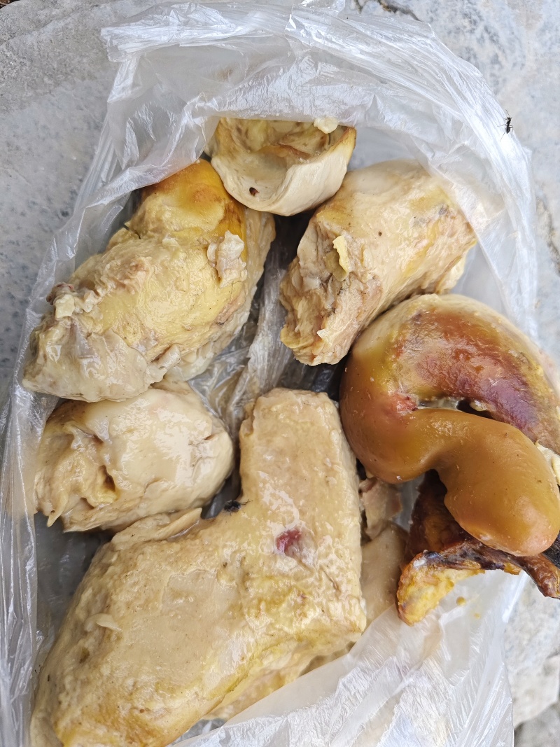 这是不是鸡宝