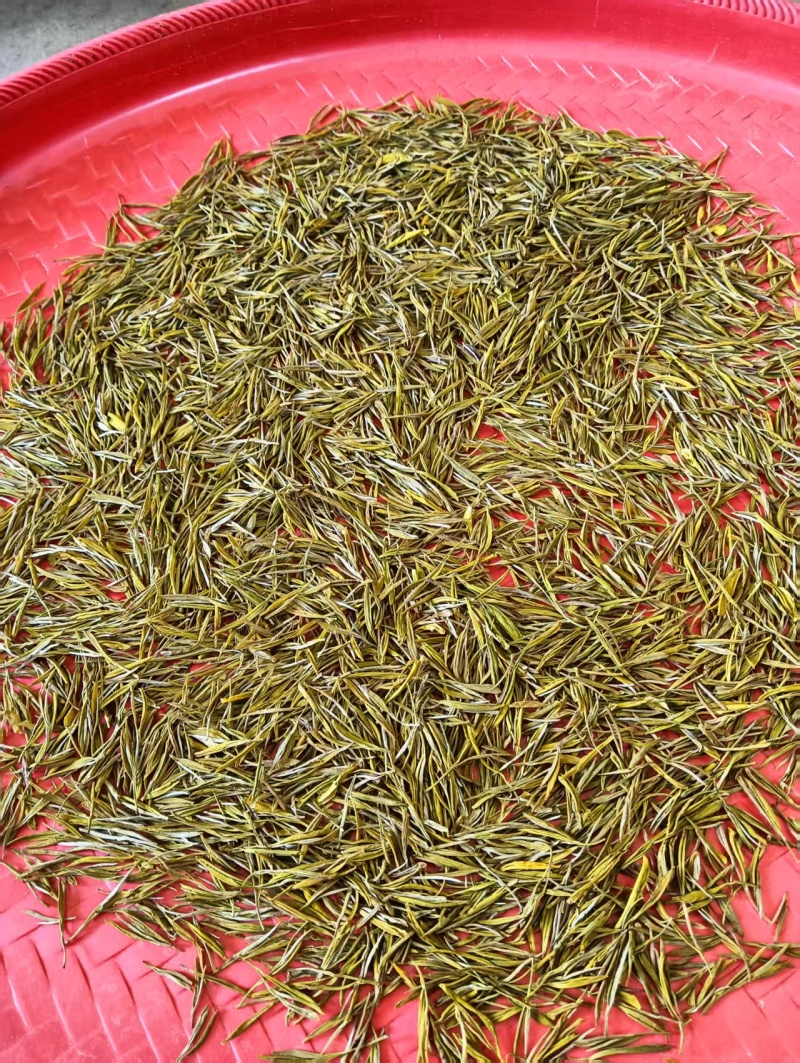黄金芽，奶白茶家里面自己种植的量比较少，便宜售卖了便宜售卖了