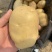 黄皮黄心，装箱装袋
