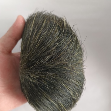 猪宝猪砂