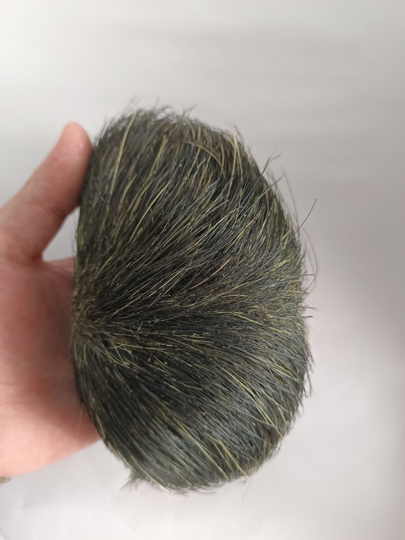 猪宝猪砂