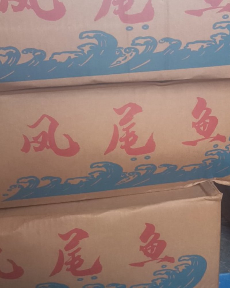 凤尾鱼