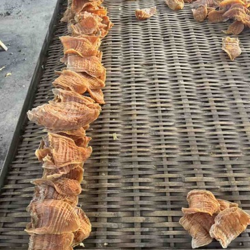 笋干笋衣笋尖
