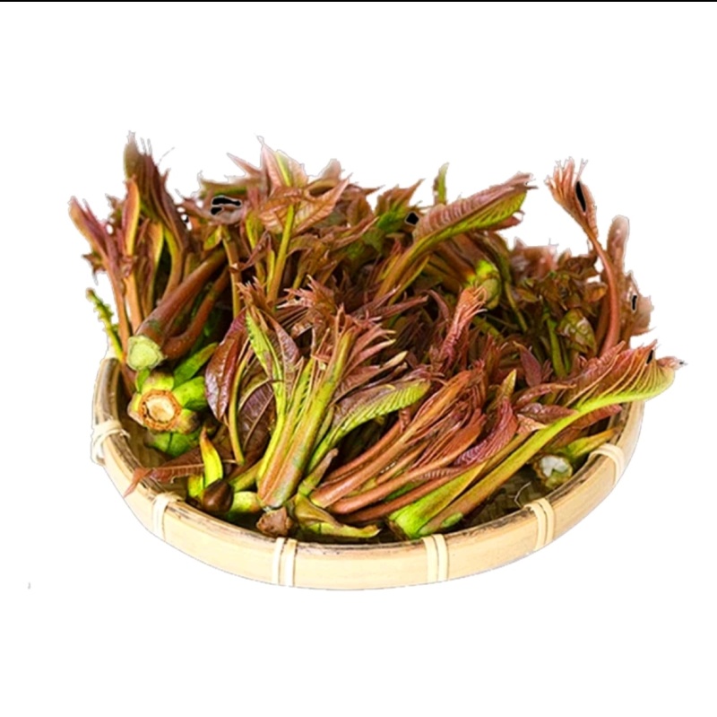 红油香椿