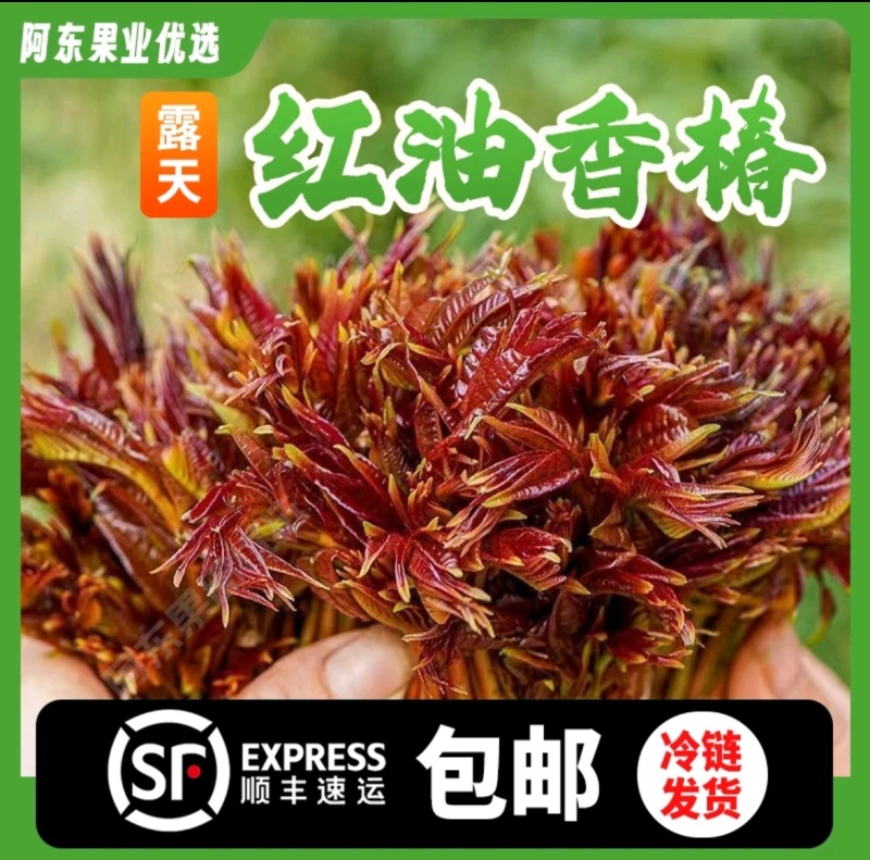 红油香椿