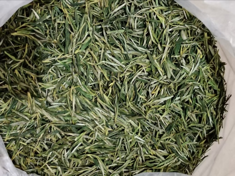 高山绿茶