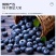 产地直发精品蓝莓L25F6等一件代发现货