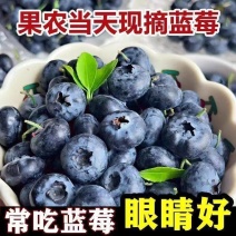 产地直发精品蓝莓L25F6等一件代发现货
